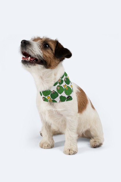 Bush Peek-A-Boo Pet Bandana